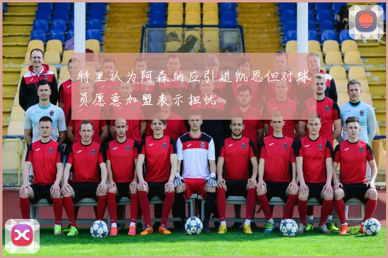 特里认为阿森纳应引进凯恩但对球员愿意加盟表示担忧