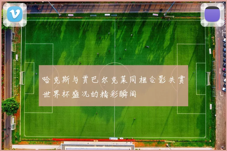 哈克斯与贾巴尔克莱同框合影共赏世界杯盛况的精彩瞬间