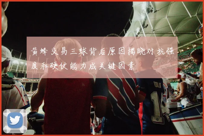黄蜂交易三球背后原因揭晓对抗强度和硬仗能力成关键因素